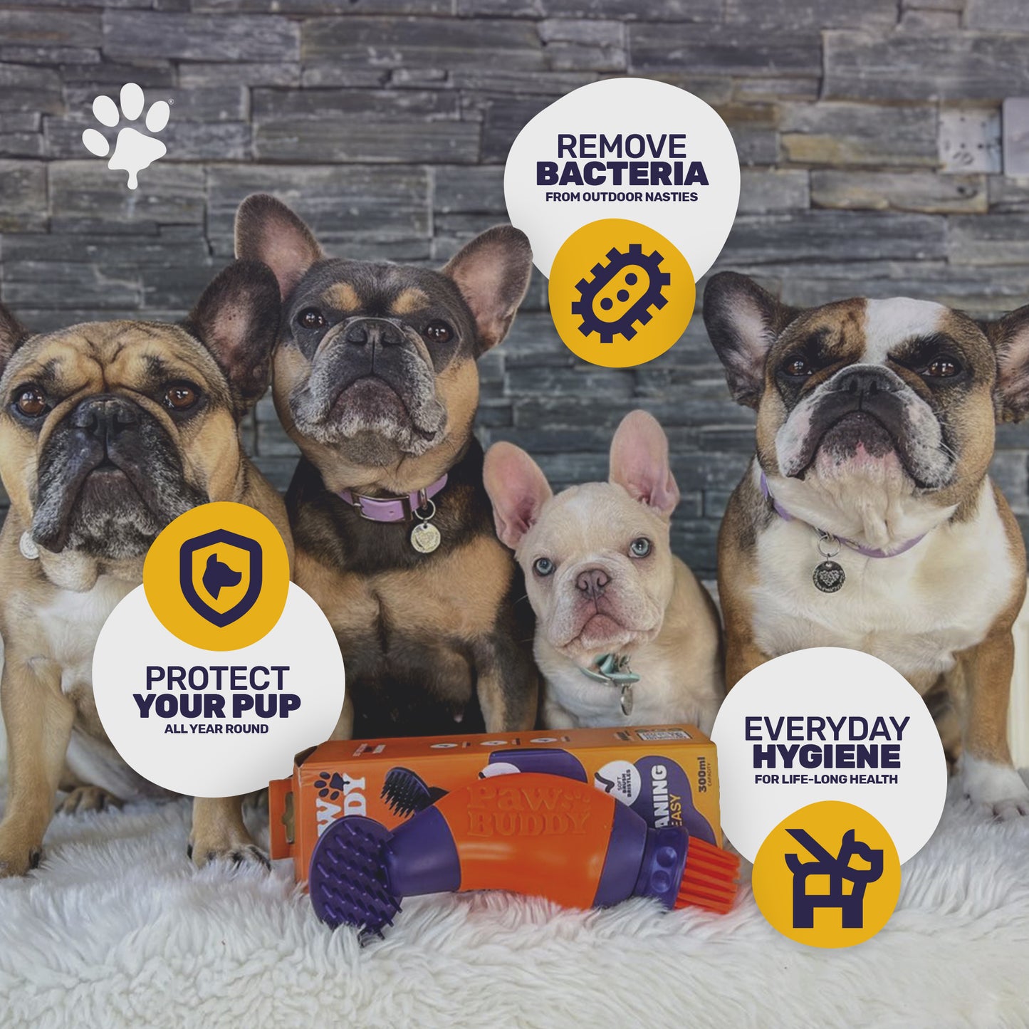 PawBuddy 2.0