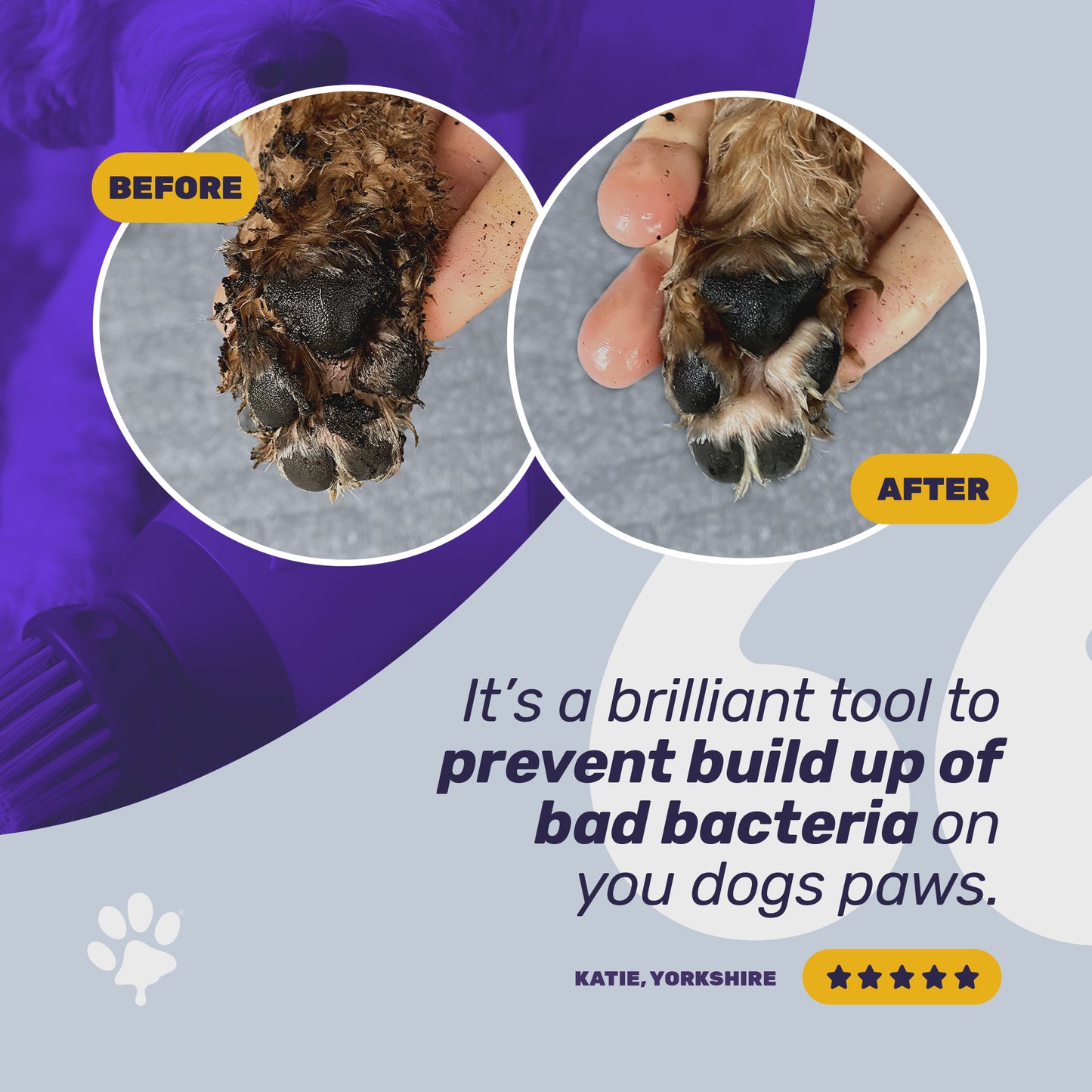 PawBuddy 2.0