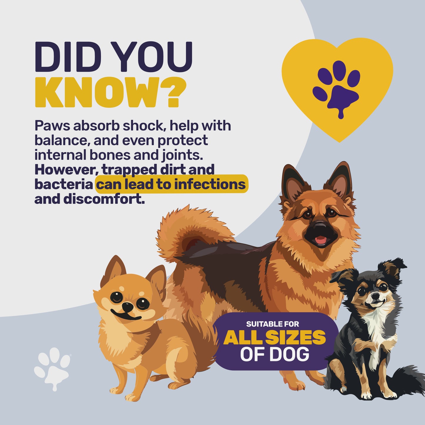 PawBuddy 2.0